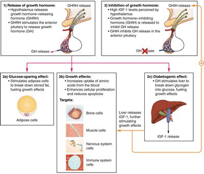 severity of the syndrome