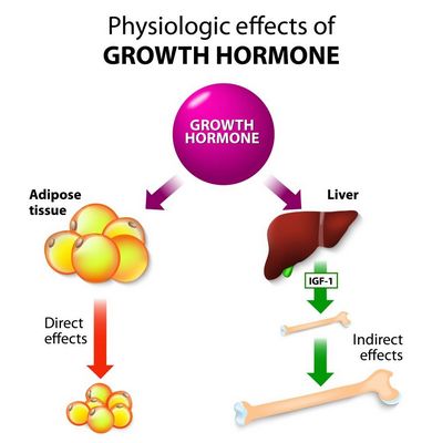 Growth Hormone online